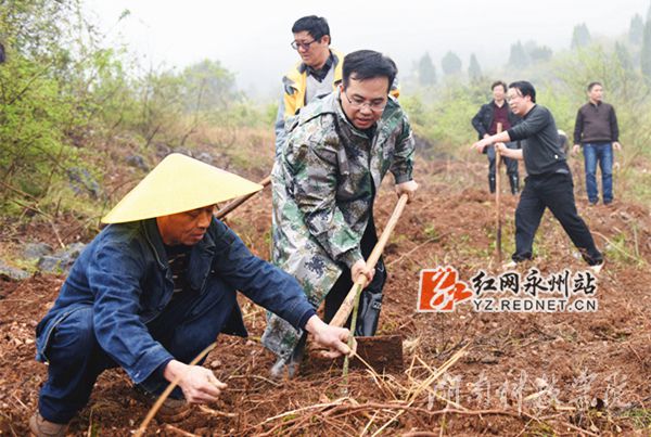 开云最新版本app下载党委书记陈弘与潮水铺村村支书一同种下金槐树苗