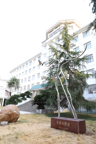 IMG_0010 IMG_0010